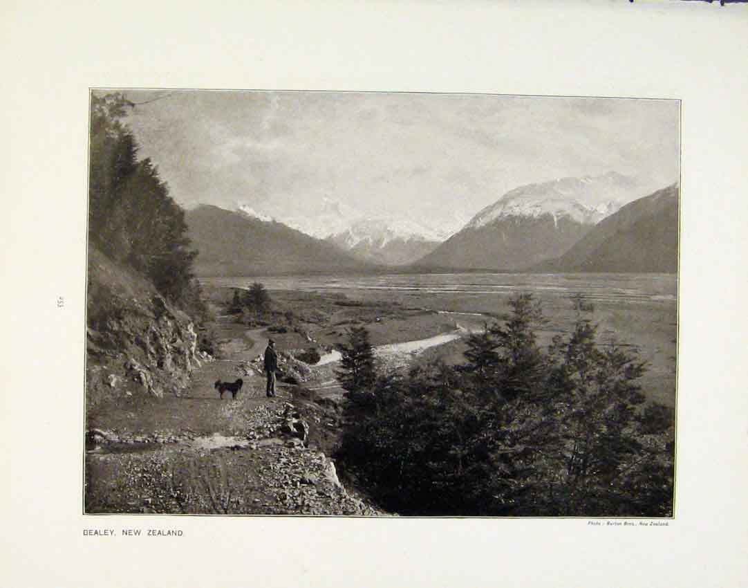 Original Old Antique Print Bealey New Zealand On The Dochart C1910 Photos 20th