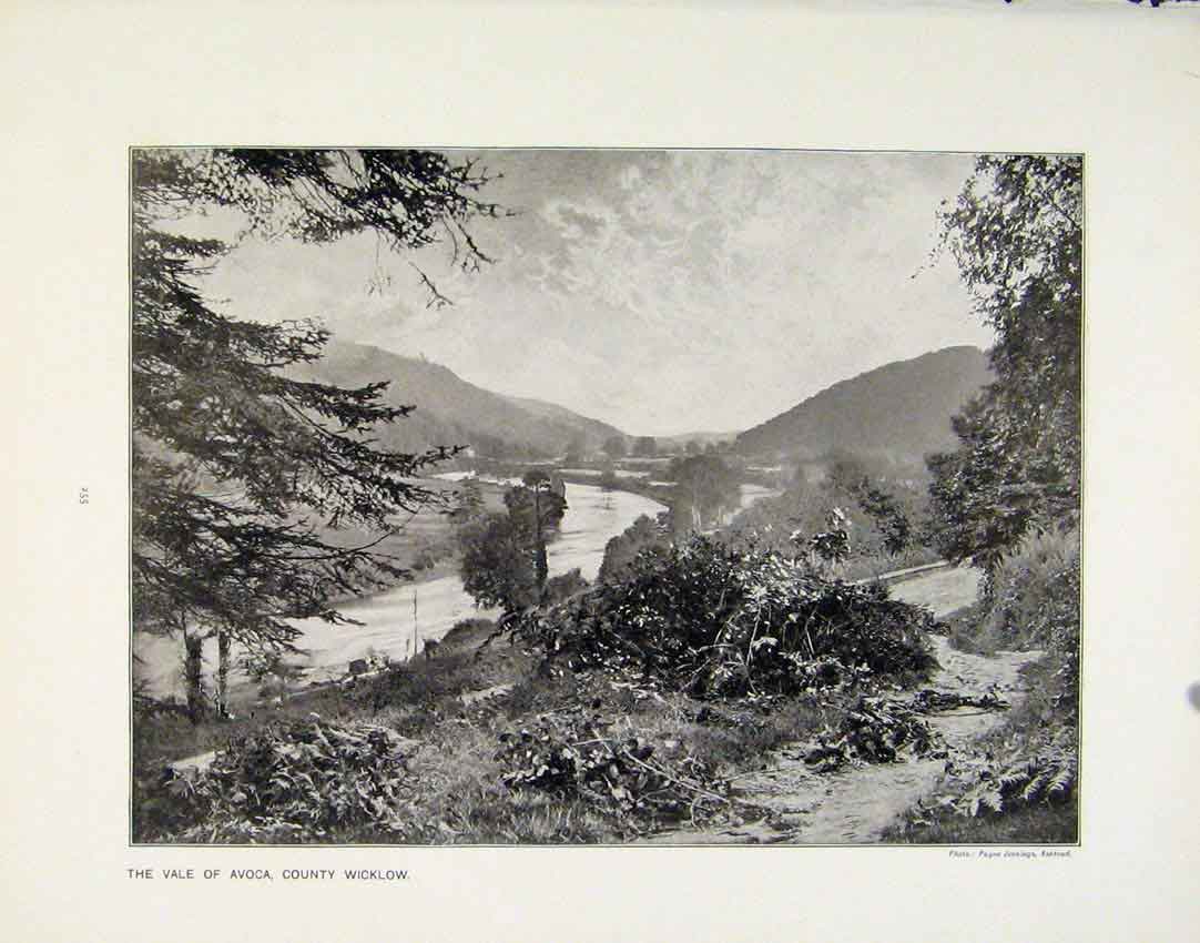 Old Antique Print Vale Avoca County Wicklow Above Clouds Himalayan Scene