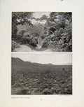 Old Antique Print Forest Veldt Africa Barron Falls Queensland Photograph