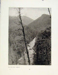 Original Old Antique Print King River Tasmania Castle Rock Lynton Photo
