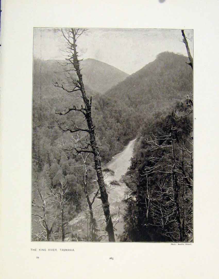 Original Old Antique Print King River Tasmania Castle Rock Lynton Photo