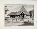 Old Antique Print Feeding Monkeys Jakko St Patricks Day Geelong Ontario