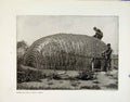 Original Old Antique Print Women Workers Cycle Factory House Building Africa