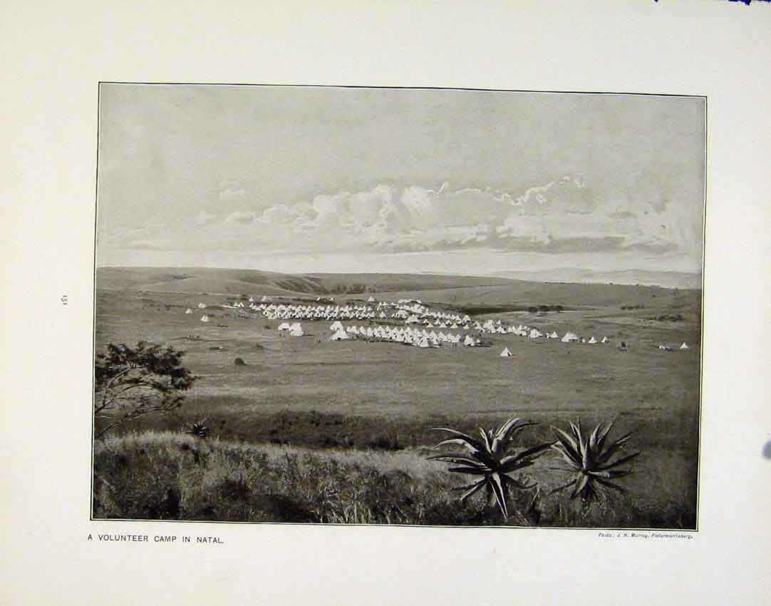 Old Antique Print Volunteer Camp Natal Raw Material British Army Photo