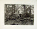 Antique Old Print Settlers Hut New South Wales Typical South African Home