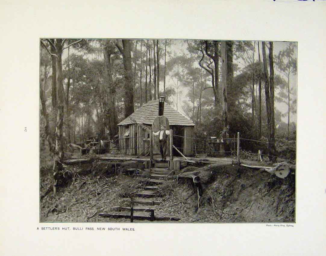 Antique Old Print Settlers Hut New South Wales Typical South African Home