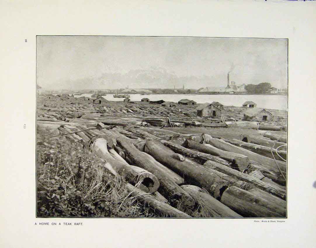 Old Antique Print Home Teak Raft Wayside Inn Ourimbah South Wales Photo
