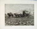Original Old Antique Print Loading Up Covent Garden Tribute Rofest Photo C1911