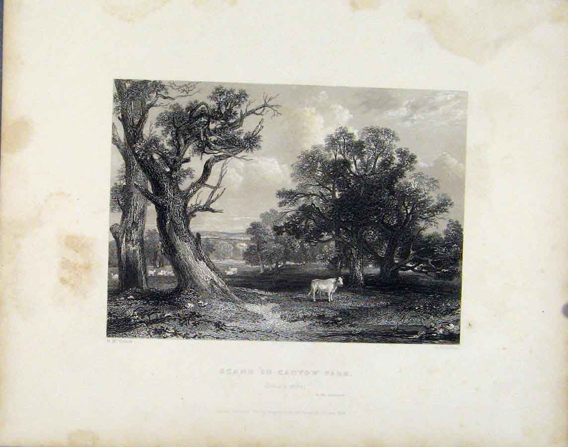 Original Old Antique Print Fine Art Scene Cadyow Park Scotland 1839 Victorian