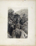Original Old Antique Print C1839 Scotland Altsay Burn Inverness Art Victorian