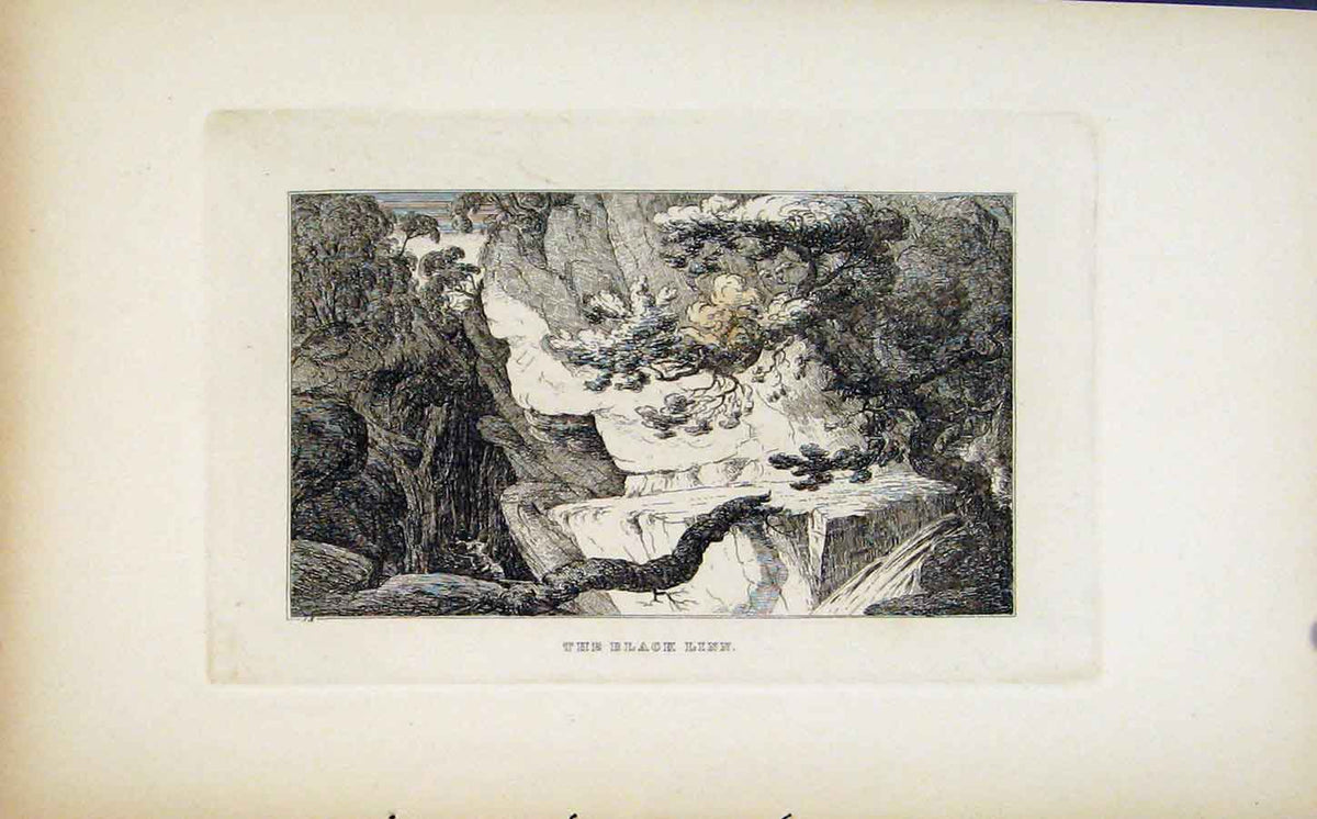 Original Old Antique Print Etching Black Linn Fine Art C1830 19th Century