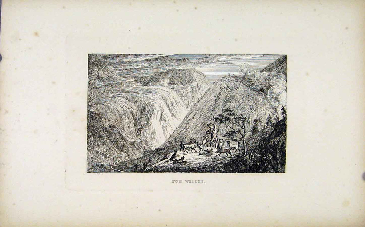 Original Old Antique Print Fine Art Etching C1830 Tod Willie Mountai 19th