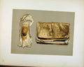 Original Old Antique Print Siers Memorandum Book Found In Waterloo C1893 Art