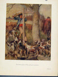Original Old Antique Print Italian Plaster Parise Poll Parrot Merchant Dogs Sign