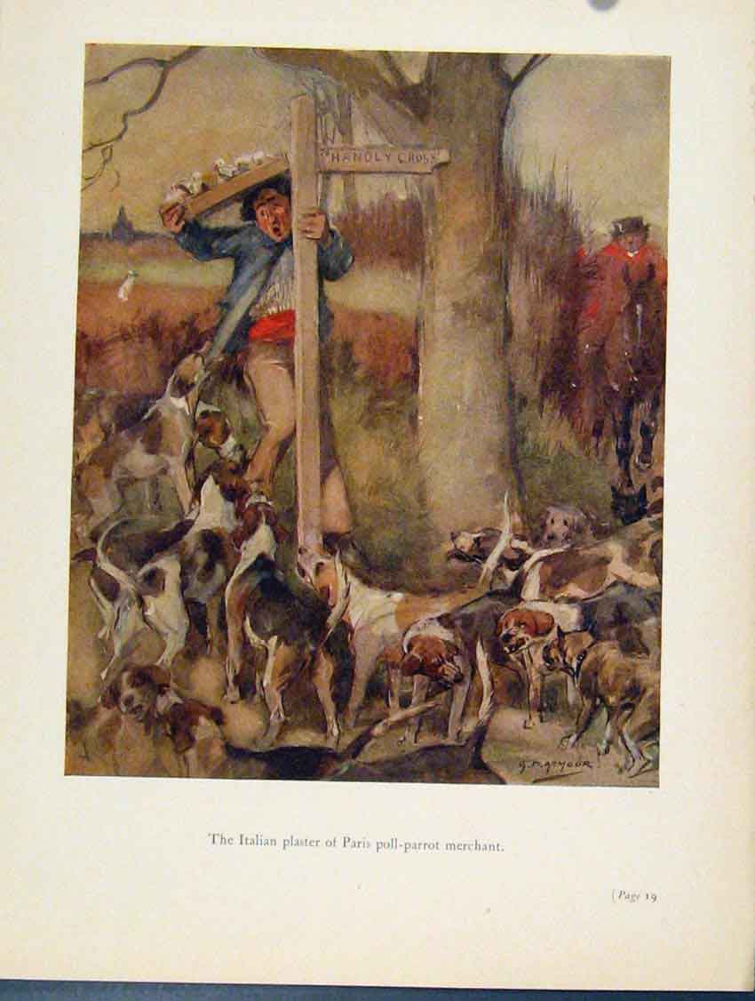 Original Old Antique Print Italian Plaster Parise Poll Parrot Merchant Dogs Sign