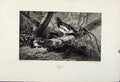 Original Old Antique Print Ryper Birds Animals The Encyclopedia Sport