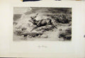Original Old Antique Print Stag Hunting C1898 The Encyclopedia Sport Victorian
