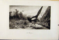 Original Old Antique Print Birds Poacher The Encyclopedia Sport C1898 Hunting