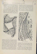 Original Old Antique Print Plan Decoy Pool Pipe Mouth The Encyclopedia Sport