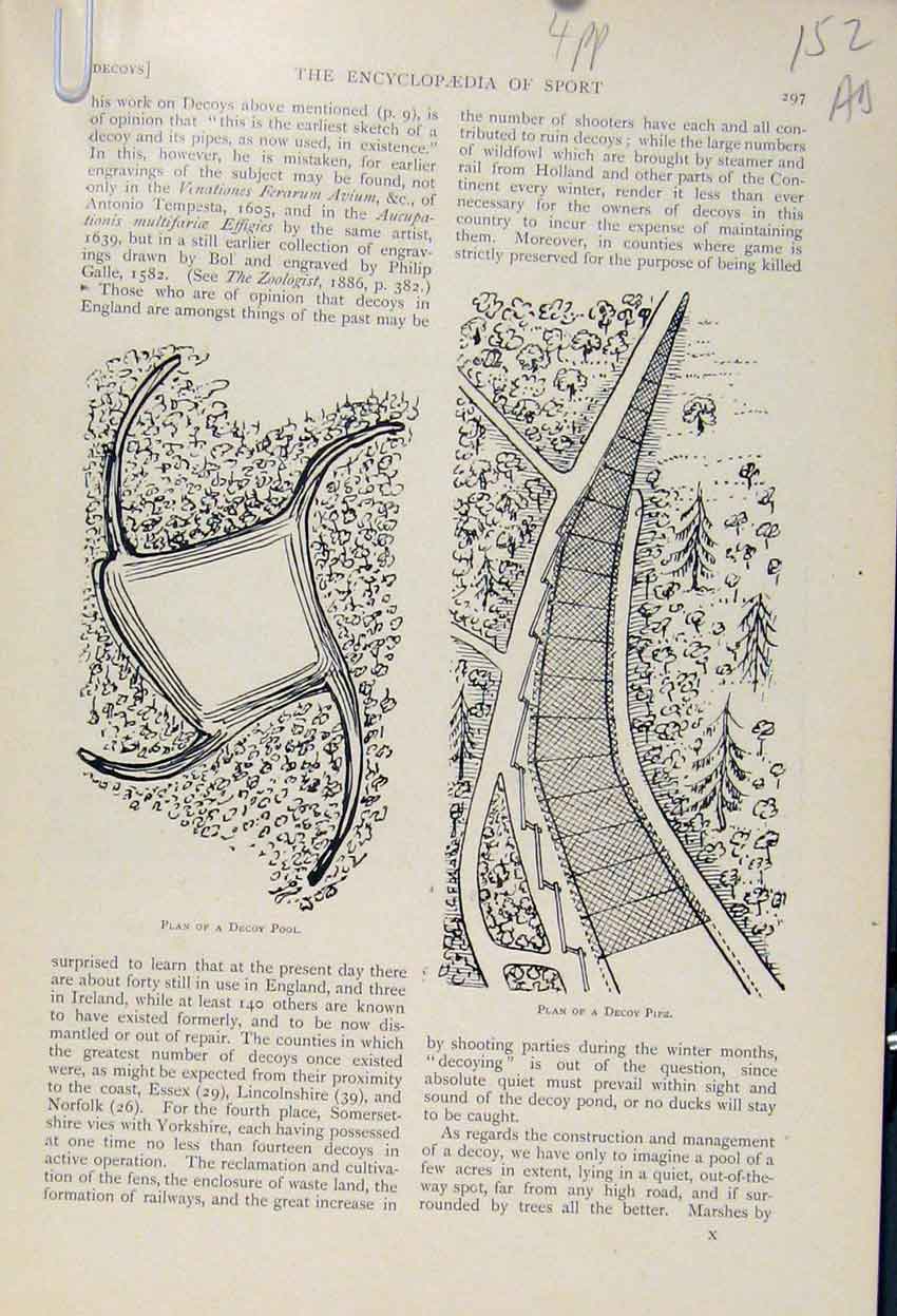 Original Old Antique Print Plan Decoy Pool Pipe Mouth The Encyclopedia Sport