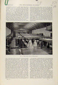 Original Old Antique Print Inside Hatcheries C1898 Art 19th Century