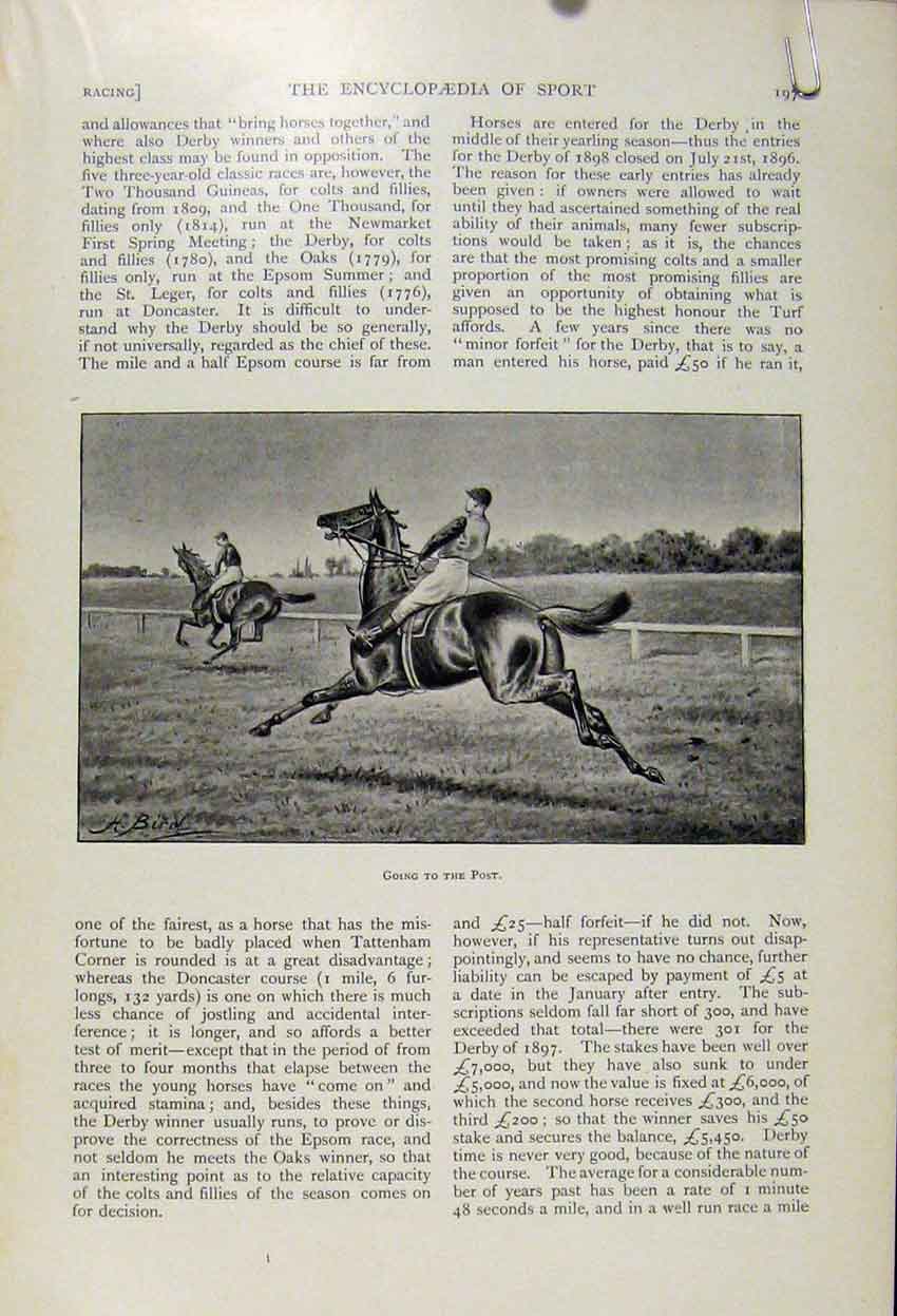 Original Old Antique Print Birdcage Newmarket The Encyclopedia Sport C1893