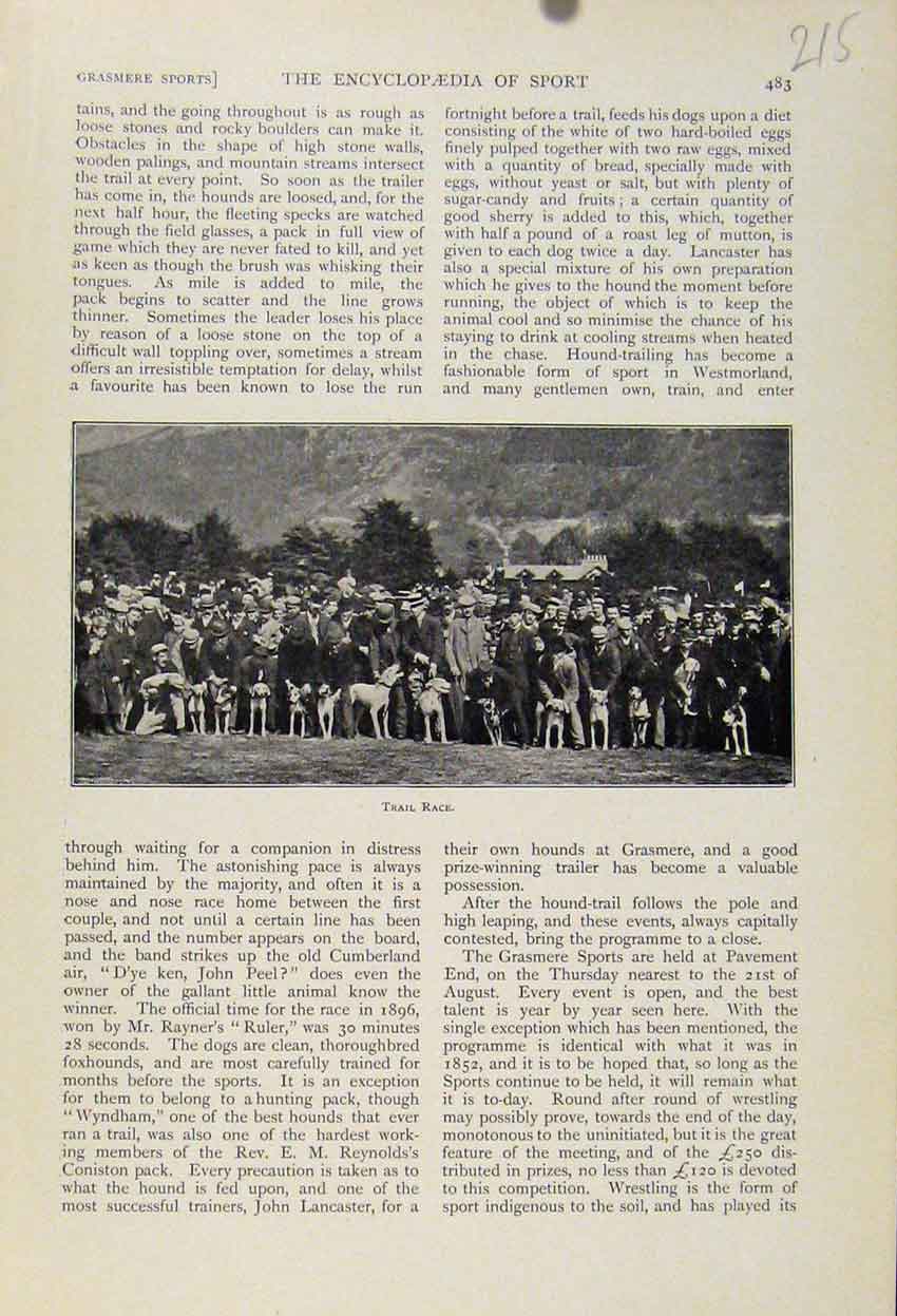 Original Old Antique Print Trail Race Dogs The Encyclopedia Sport