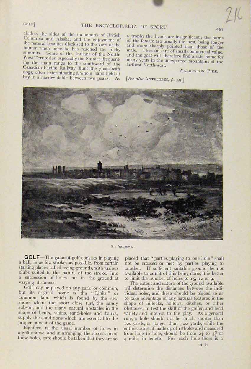 Original Old Antique Print St Andrews The Encyclopedia Sport City Town