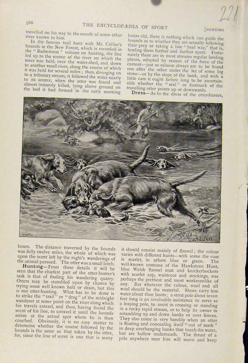 Original Old Antique Print Dogs Hunting River The Encyclopedia Sport