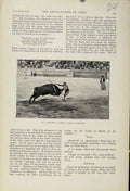 Original Old Antique Print Up To The Hilt Perfect Suerte De Volpie