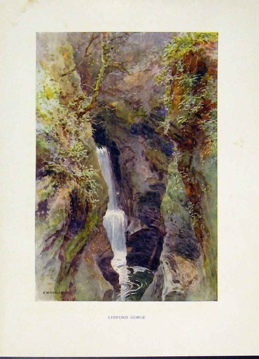 Original Old Vintage Print Lydford Gorge Painting By Haslehust C1920 Art 20th