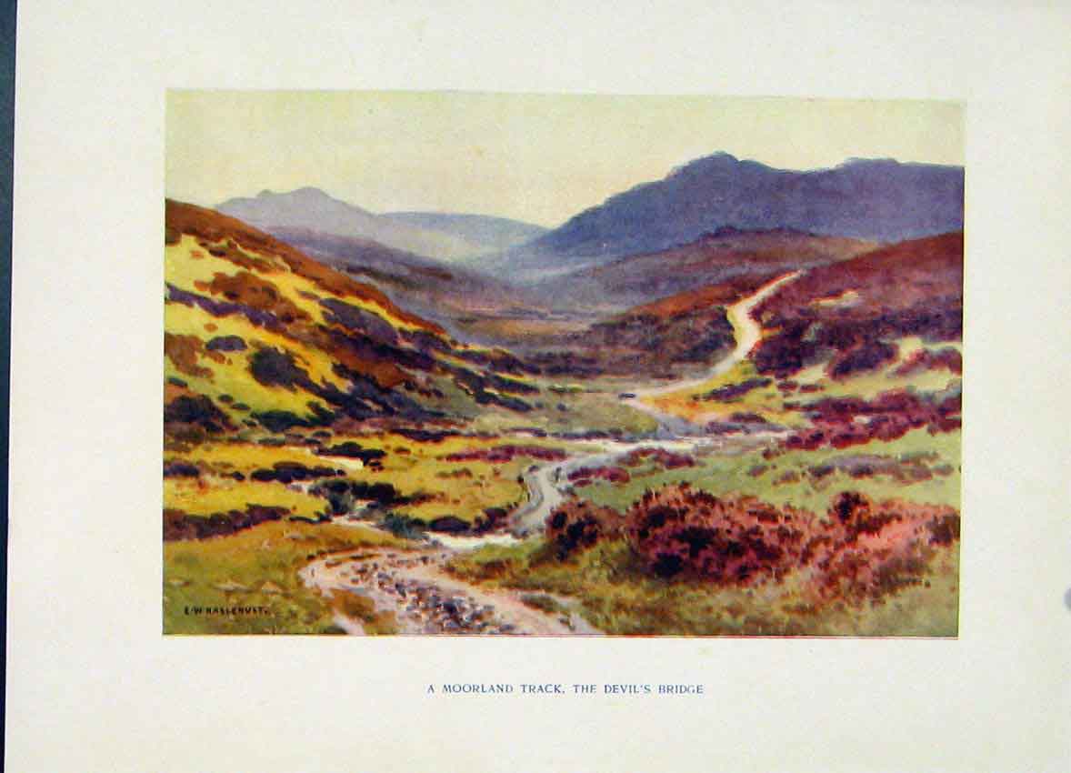 Original Old Vintage Print Moorland Track Devils Bridge C1920 Haslehust Painting