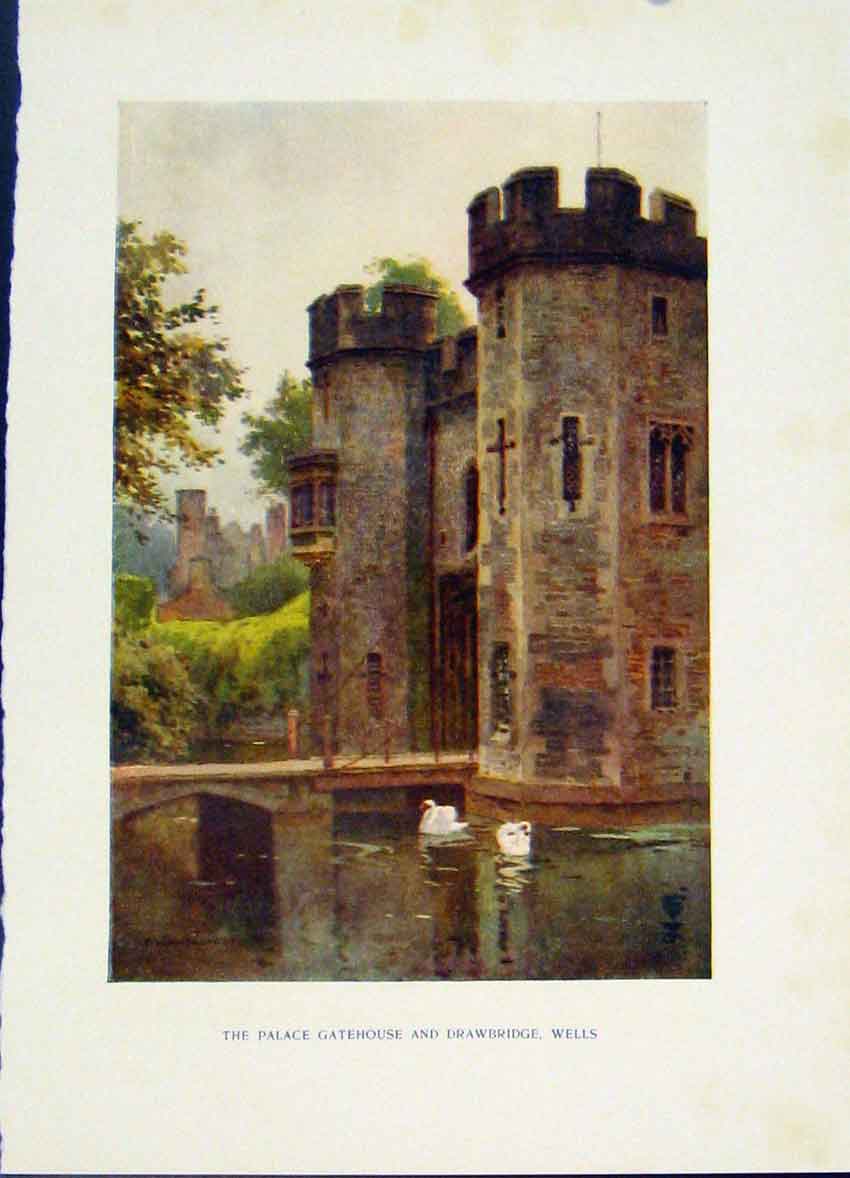 Original Old Antique Print Palace Gatehouse Drawbridge Wells Haslehust Fine Art