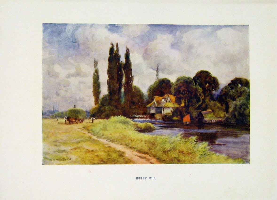Original Old Antique Print Iffley Mill Oxford Painting By Haslehust