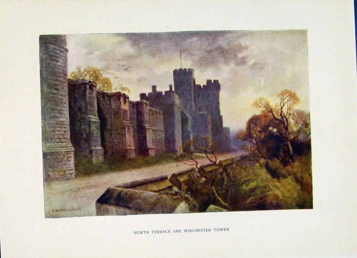 Original Old Antique Print North Terrance Winchester Tower Windsor Haslehust