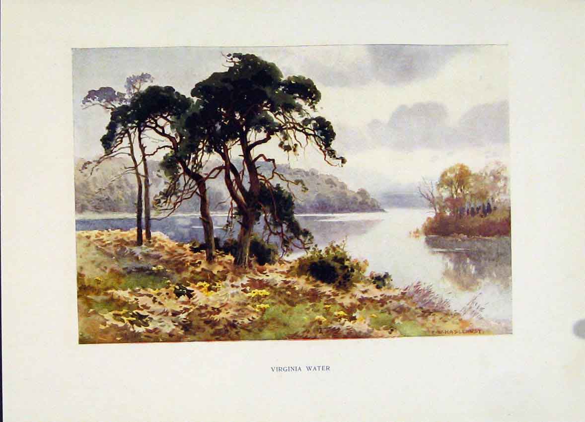 Original Old Vintage Print Virginia Water Hampton Court C1920 Haslehust Painting