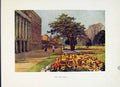 Original Old Vintage Print Painting By Haslehust C1920 Hampton Court Long Walk