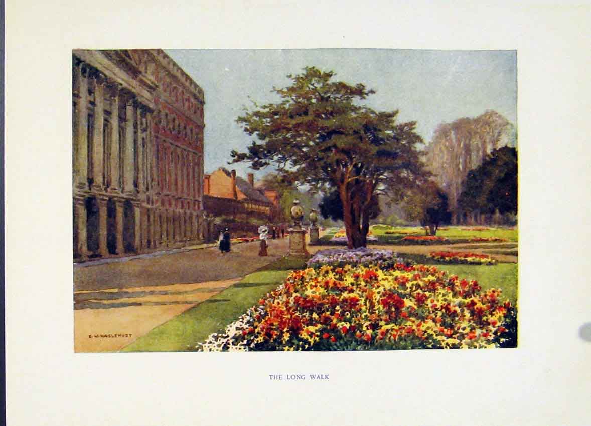 Original Old Vintage Print Painting By Haslehust C1920 Hampton Court Long Walk