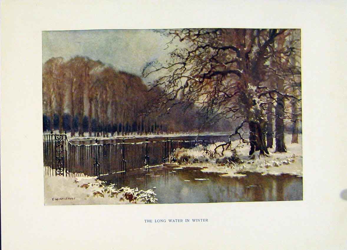 Original Old Vintage Print C1920 Painting By Haslehust Hampton Court Long Water