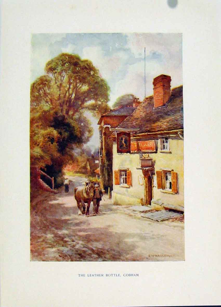 Original Old Antique Print Leaher Bottle Cobham Fine Art Painting By Haslehust