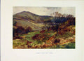 Original Old Vintage Print Shanklin Down Early Spring Painting Haslehust C1920