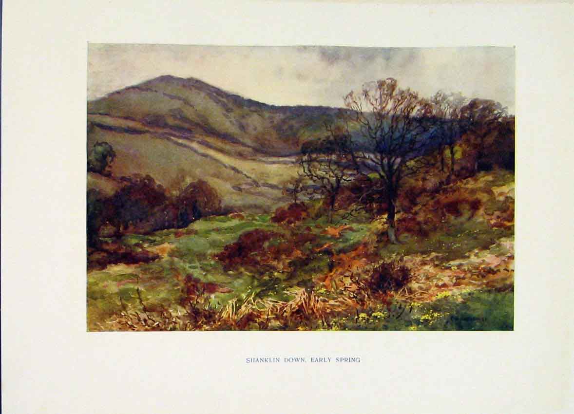 Original Old Vintage Print Shanklin Down Early Spring Painting Haslehust C1920
