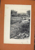 Original Old Antique Print Fyshynge Feaste Plymouth C1871 19th Century
