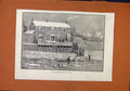 Original Old Antique Print Cambridge Crew At Lynn C1891 Illustrated London News
