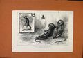 Original Old Antique Print Young Marmozets Born In London C1887 The Graphic 19th