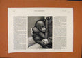 Original Old Antique Print Baby Orangoutang C1881 The Graphic 19th