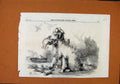 Original Old Antique Print Folly And Friends C1880 Illustrated London News 19th