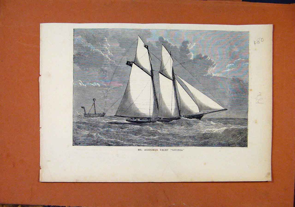Original Old Antique Print Mr Ashburys Yacht Livonia C1871 19th