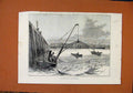 Original Old Antique Print Catching Bait Calais Harbour C1888 The Graphic 19th