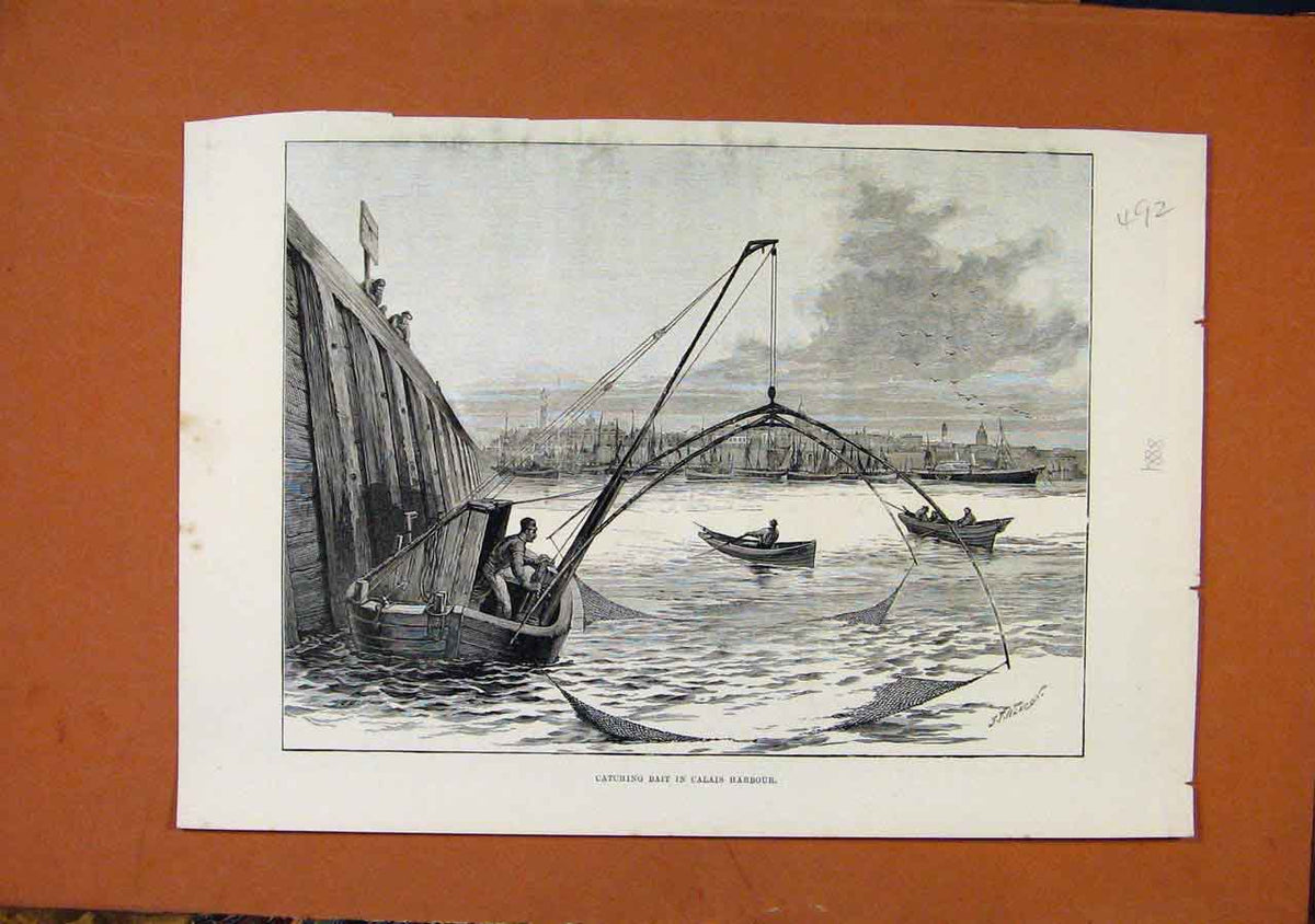 Original Old Antique Print Catching Bait Calais Harbour C1888 The Graphic 19th